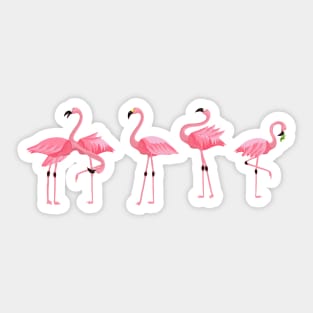Flamingo Flock Sticker